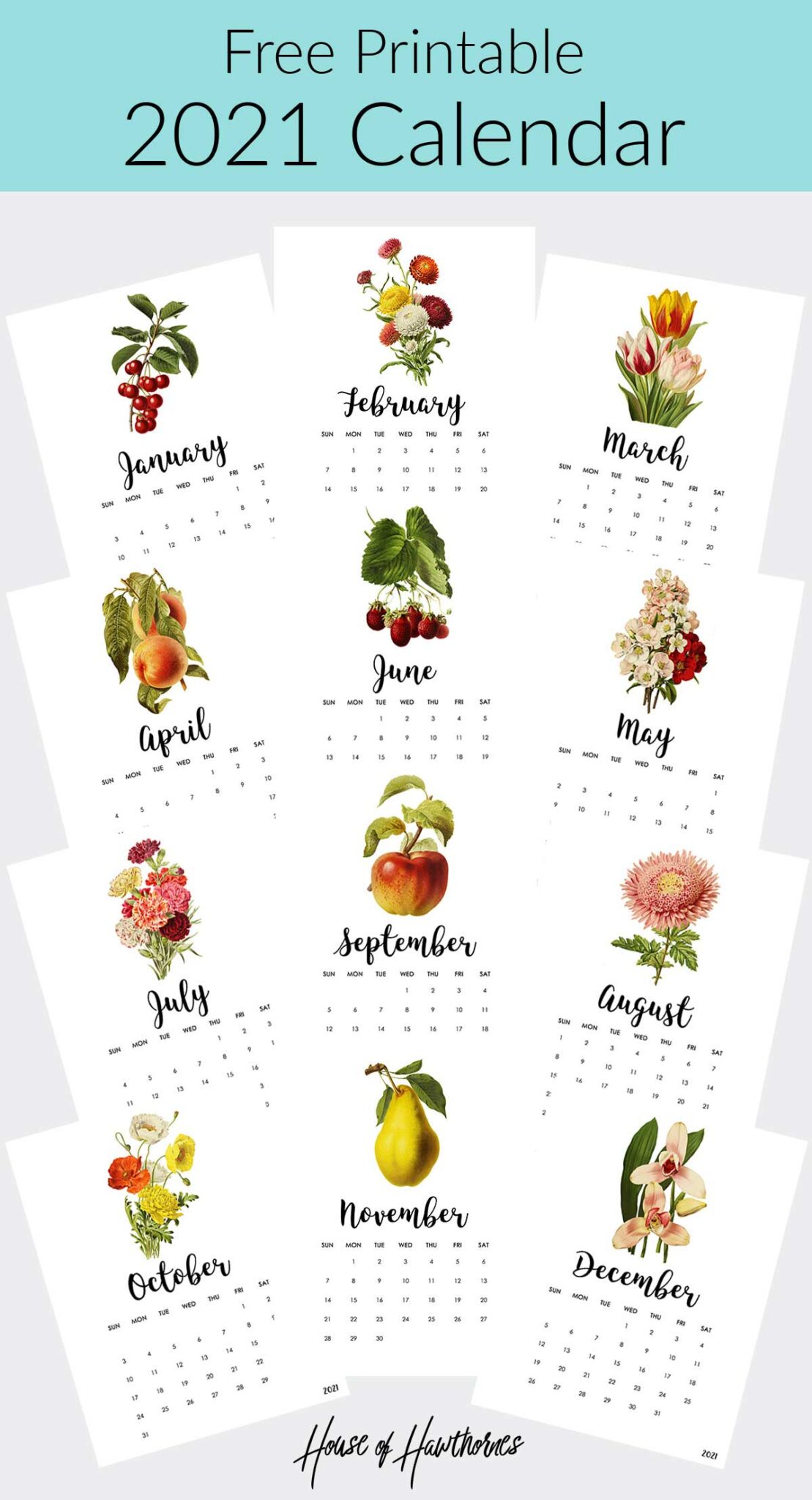 free printable 2021 calendar with vintage botanical illustrations