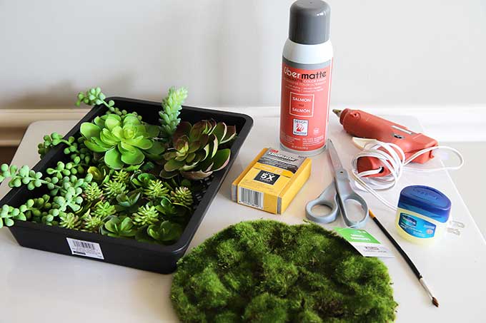 Supplies for creating an artificial succulent garden