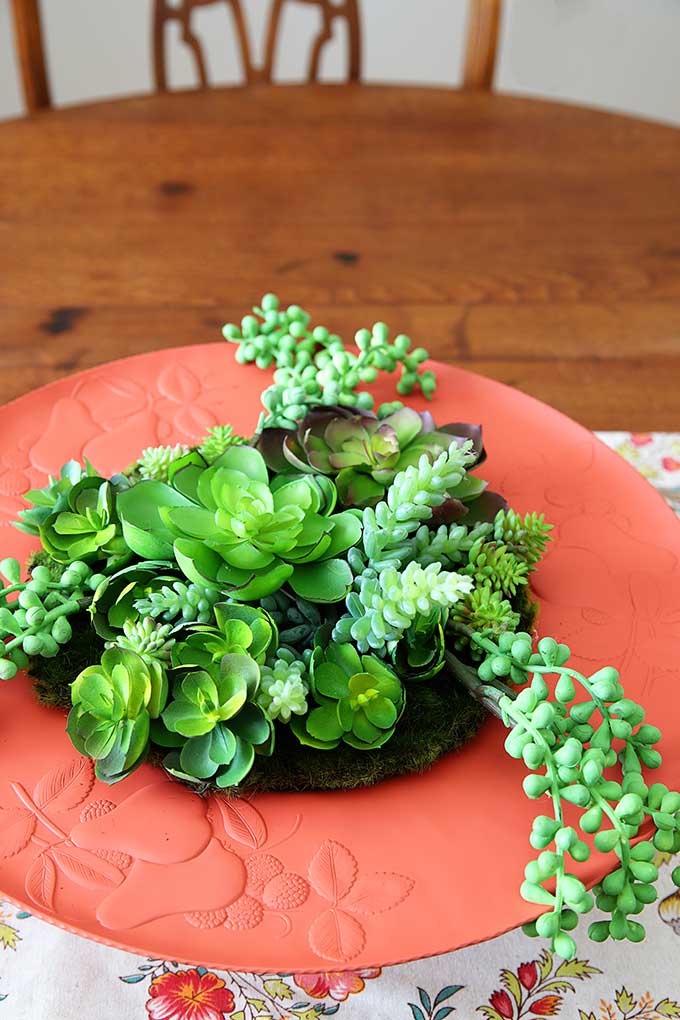 Succulent garden made out of upcycled thrift store serving tray