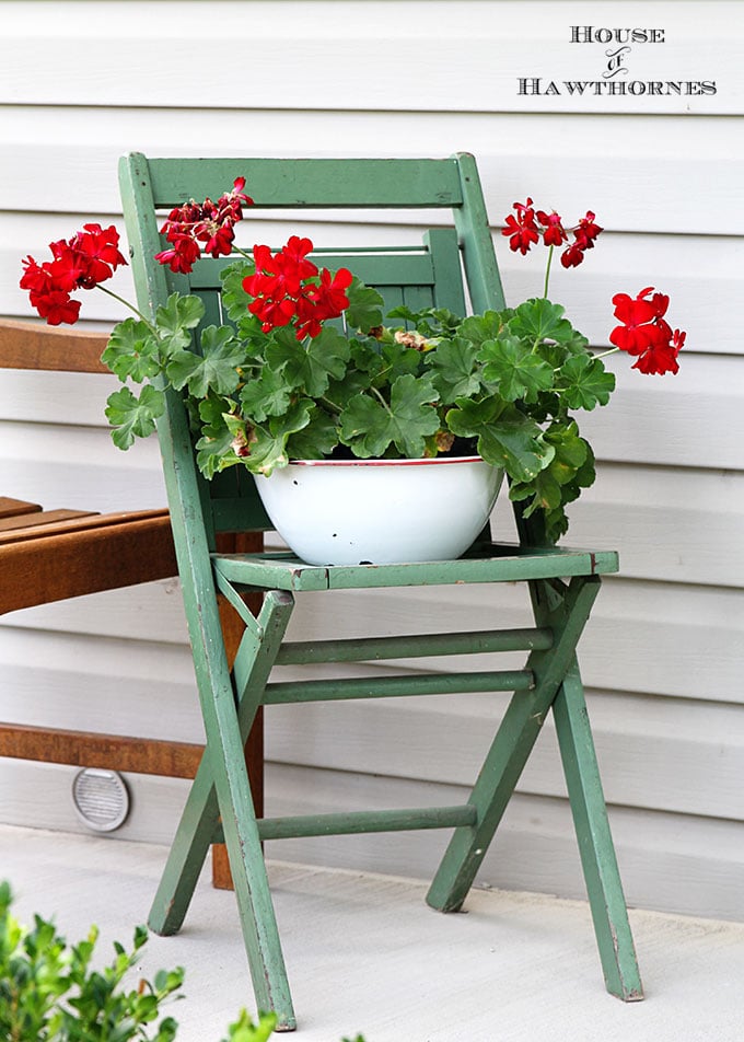 Green folding chair with a enamel basin of red geraniums. 
