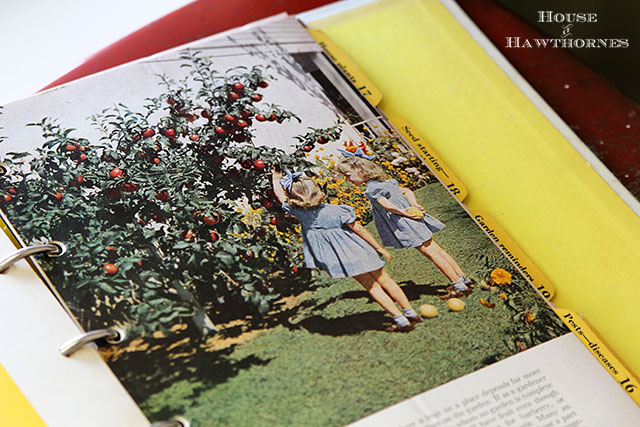 Vintage Better Homes And Gardens Garden Book from 1954 - very cool vintage gardening graphics 