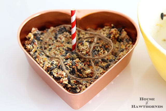 DIY Birdseed Suet Cakes For Our Feathered Friends - these make great hostess and teacher gifts too!