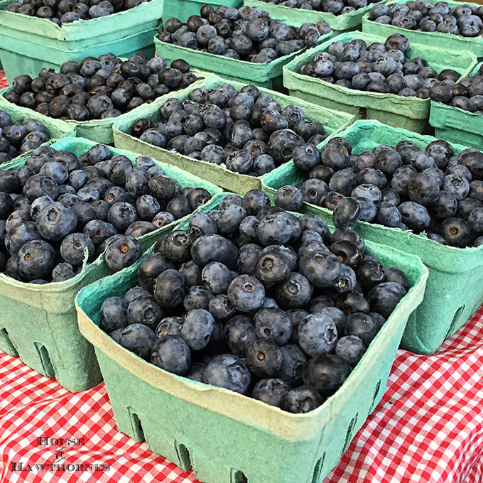 Blueberries at a farmer's market
