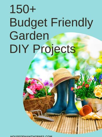 budget friendly garden DIY projects