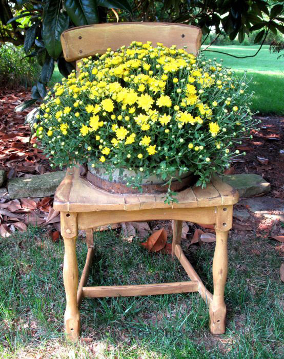 Fall porch planter from chair with yellow mums