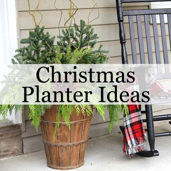 Outdoor Christmas Planter Ideas