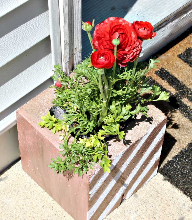 repurposed cinder block planter