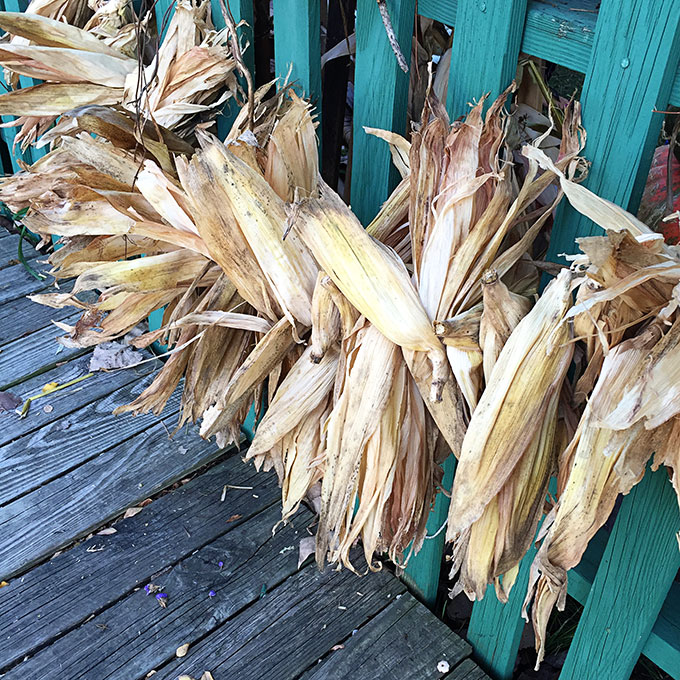 corn-stalk-garland-fall-434