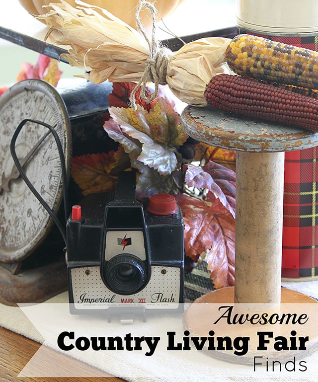 Here are some of the trendy eclectic, modern country treasures found at the the Country Living Fair in Columbus Ohio 2014. No siree, this isn't your mama's Country Living Fair! via houseofhawthornes.com