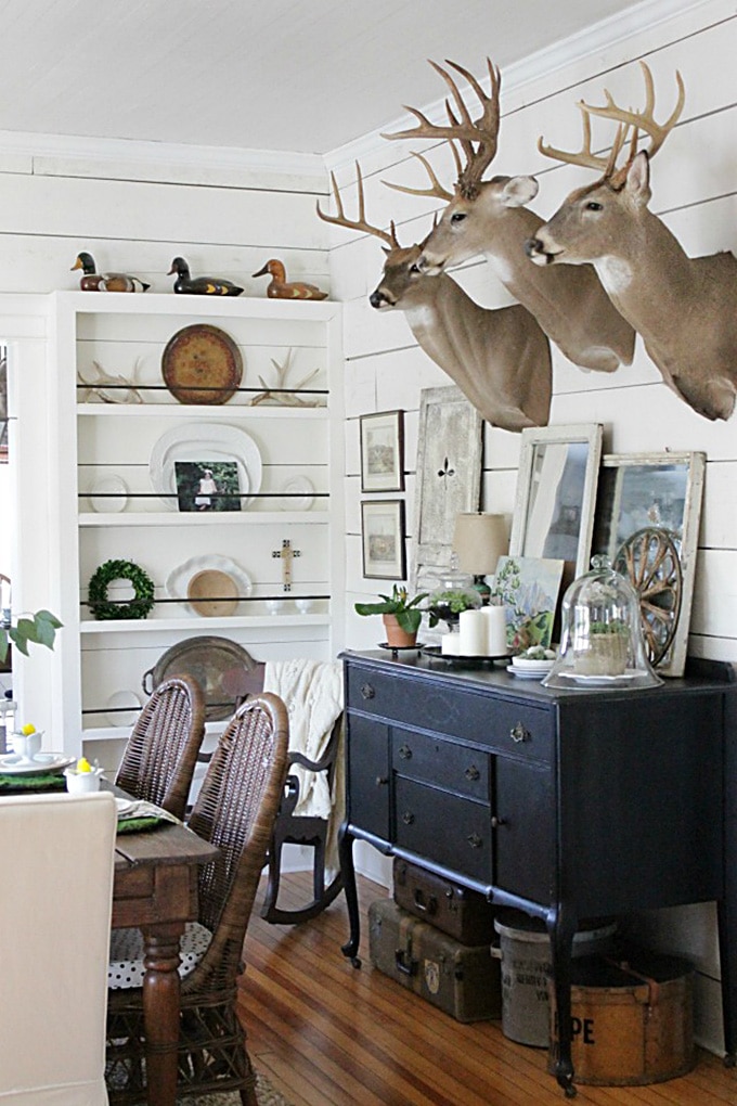 mounted deer heads used in home decor