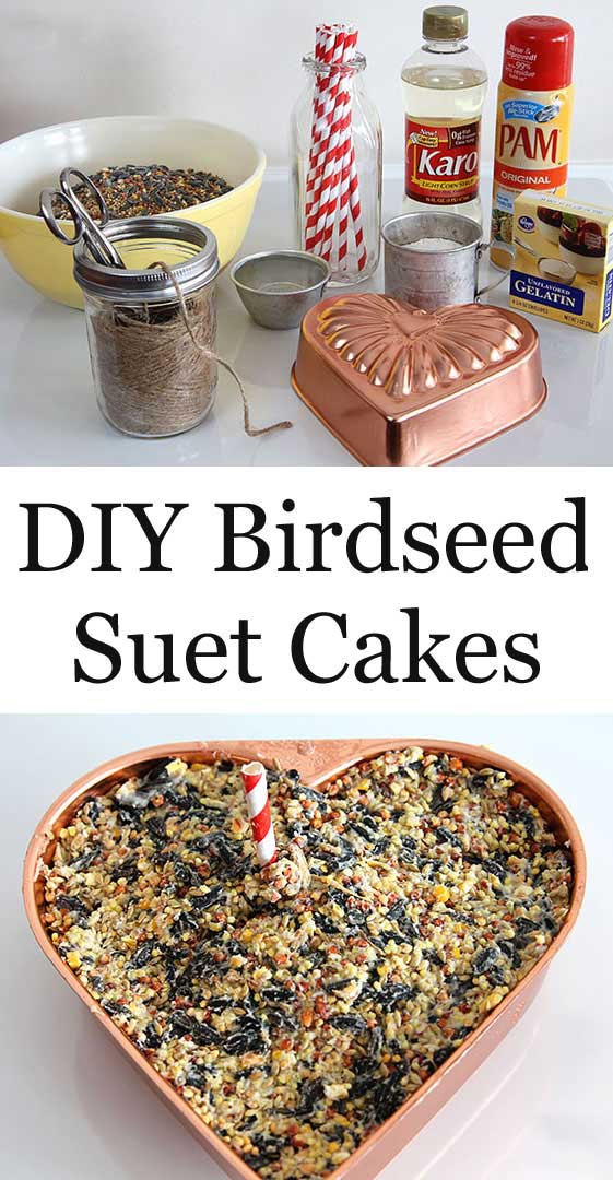 Learn how to make DIY Birdseed Suet Cakes for your backyard birds. They're also excellent holiday hostess and teacher gifts that the kids can help with! #birding #birdseed #holidaygifts #diyproject #gardening #gardengift