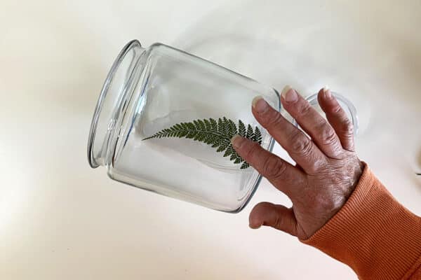 Patting down the fern with fingers.