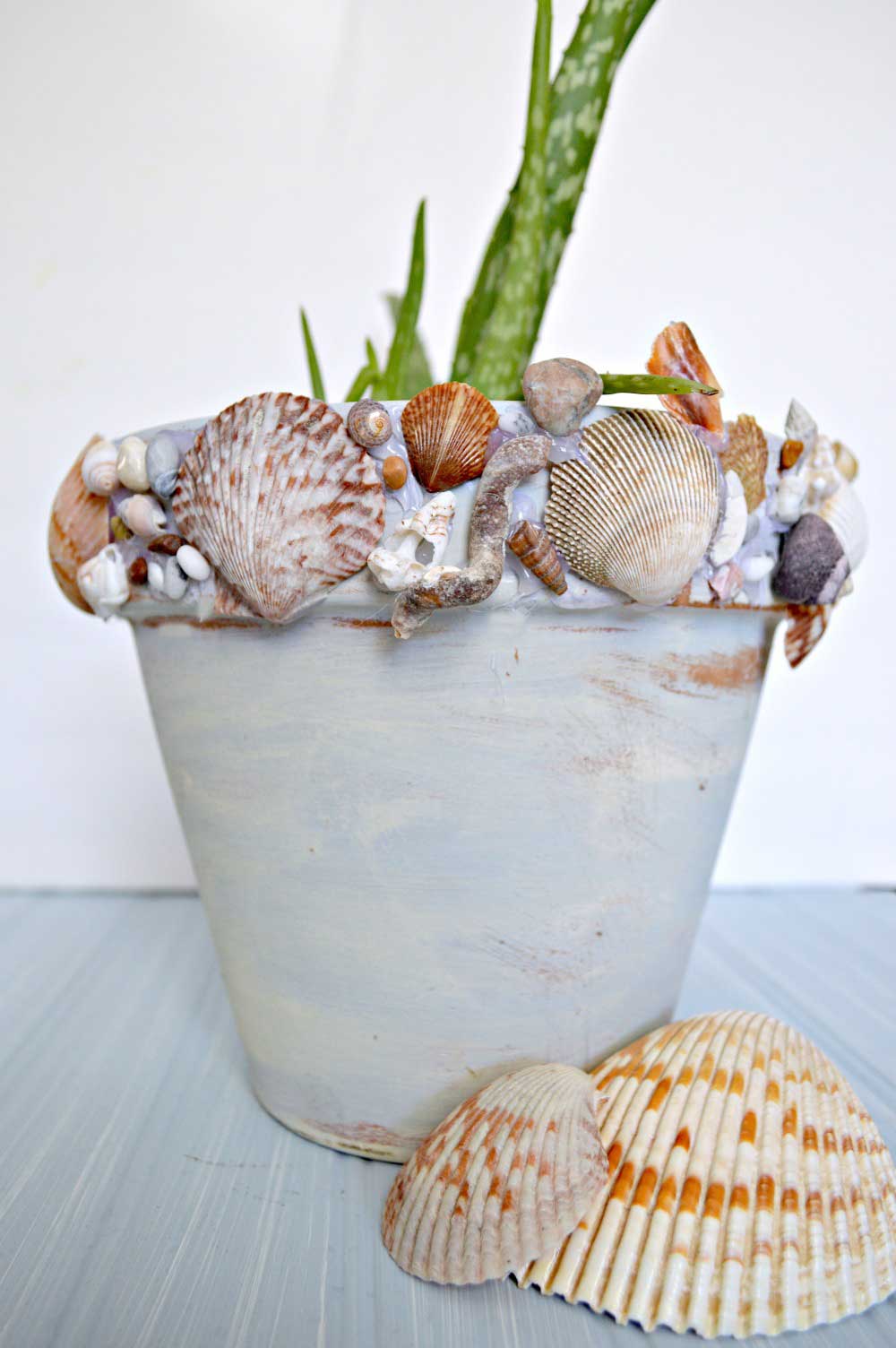 Flower pot covered in sea shells.