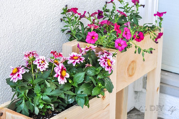 Three DIY planter boxes on a porch with bright colored flowers growing inside. 