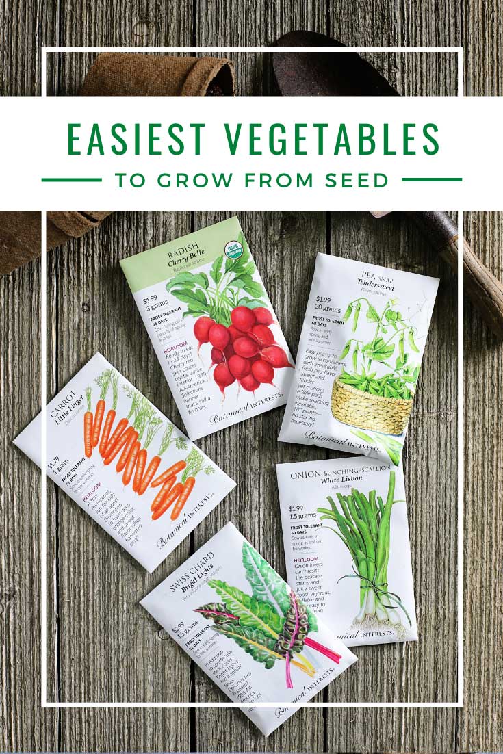 Easiest vegetable to grow from seed