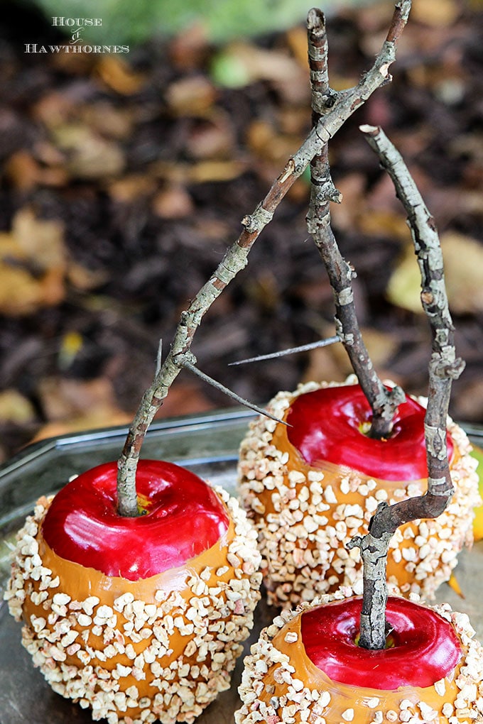 DIY decorative caramel apples with twig stems