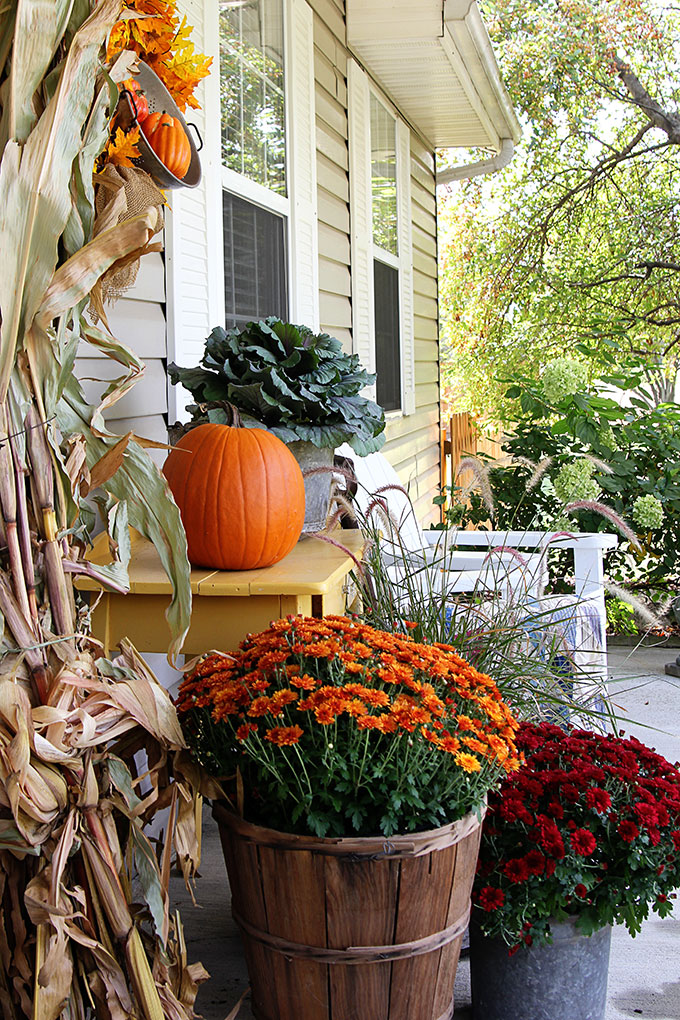 Mums, pumpkins and cornstalks create traditional autumn porch decor.