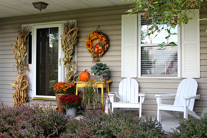 Mums, pumpkins and cornstalks on a fall porch.