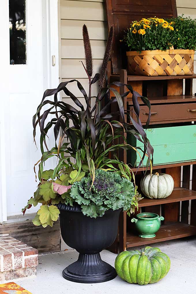 Tired of just throwing baskets of mums on your fall porch and calling it a day? Learn how to make a GORGEOUS colorful fall foliage planter for your porch!