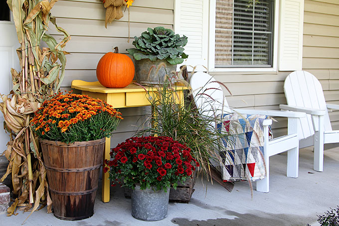 Mums, cornstalks and bushel baskets for fall porch decor.