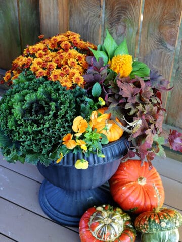 Fall porch pot using traditional fall colors.