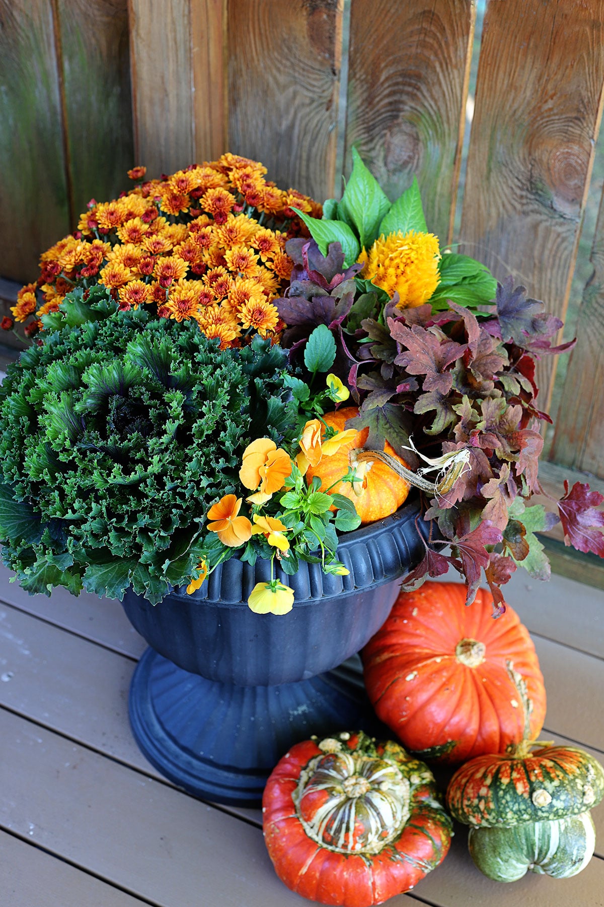 Fall planter for your porch or patio using traditional orange and yellow fall colors.