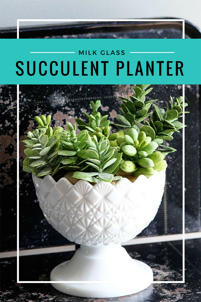 Using a milk glass bowl as a succulent planter.