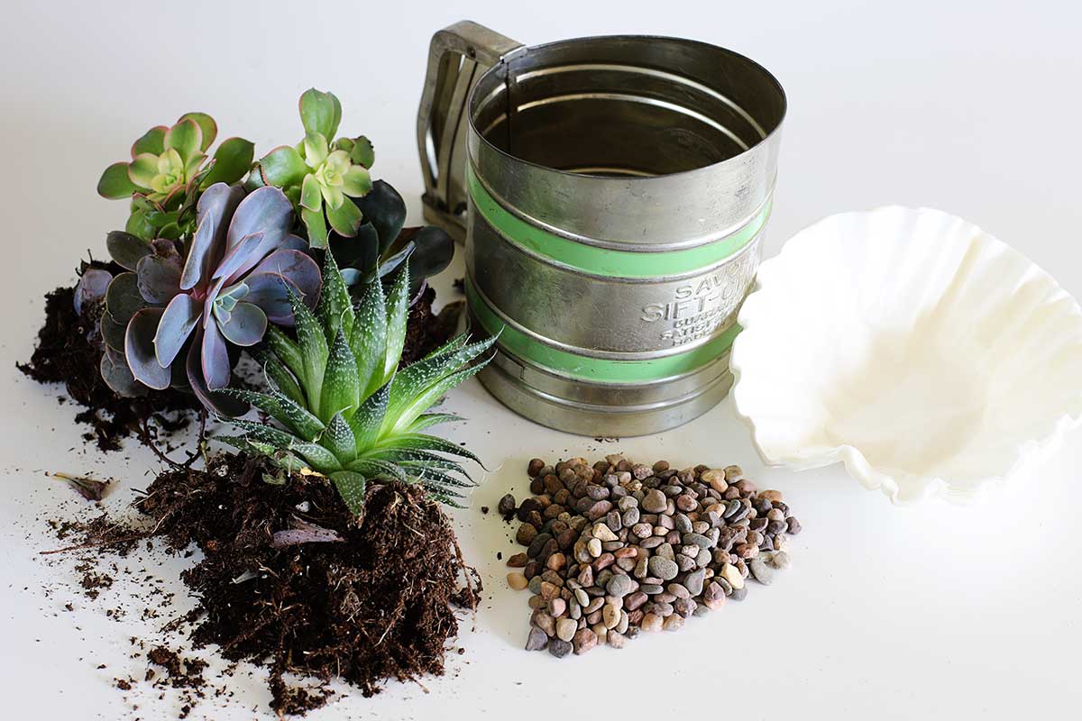 supplies to repurpose flour sifter into planter for succulents