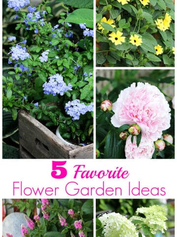 I've compiled my list of the 5 TOP inspiring flower garden ideas as picked by my readers. Both annuals and perennials for the garden are included.