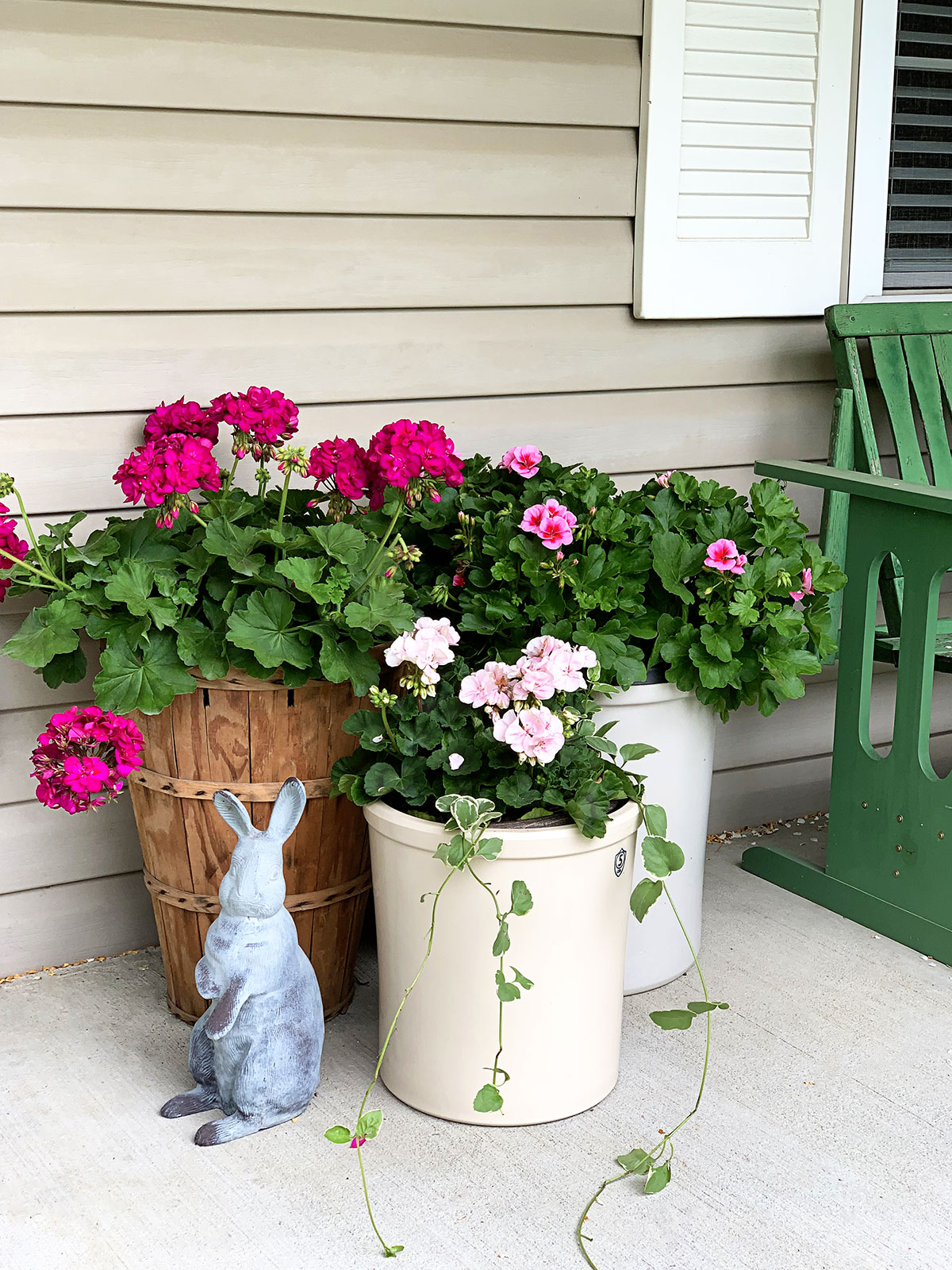 Pink geraniums in crocks and peach basket on the porch.