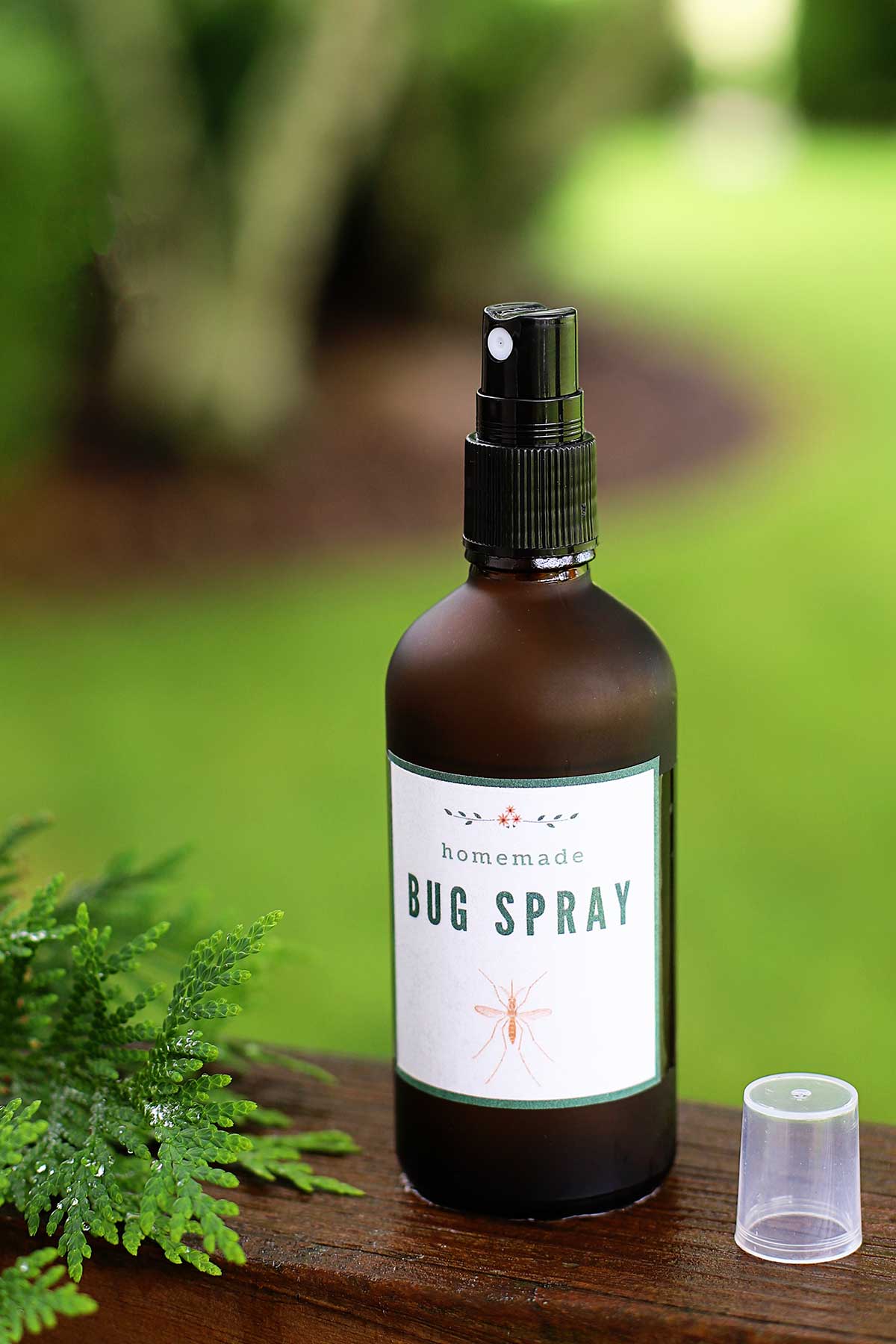 4 ingredient homemade bug spray
