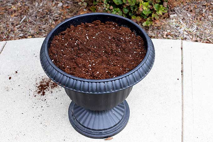 Filling flower pot with soil.