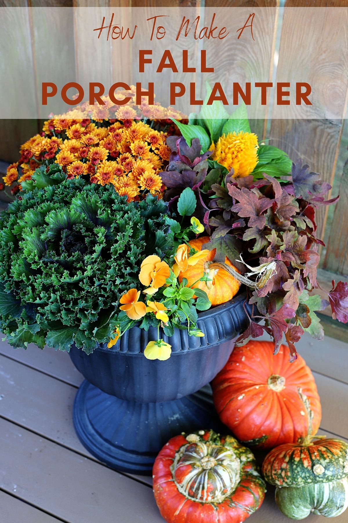 Fall porch planter surrounded by gourds.