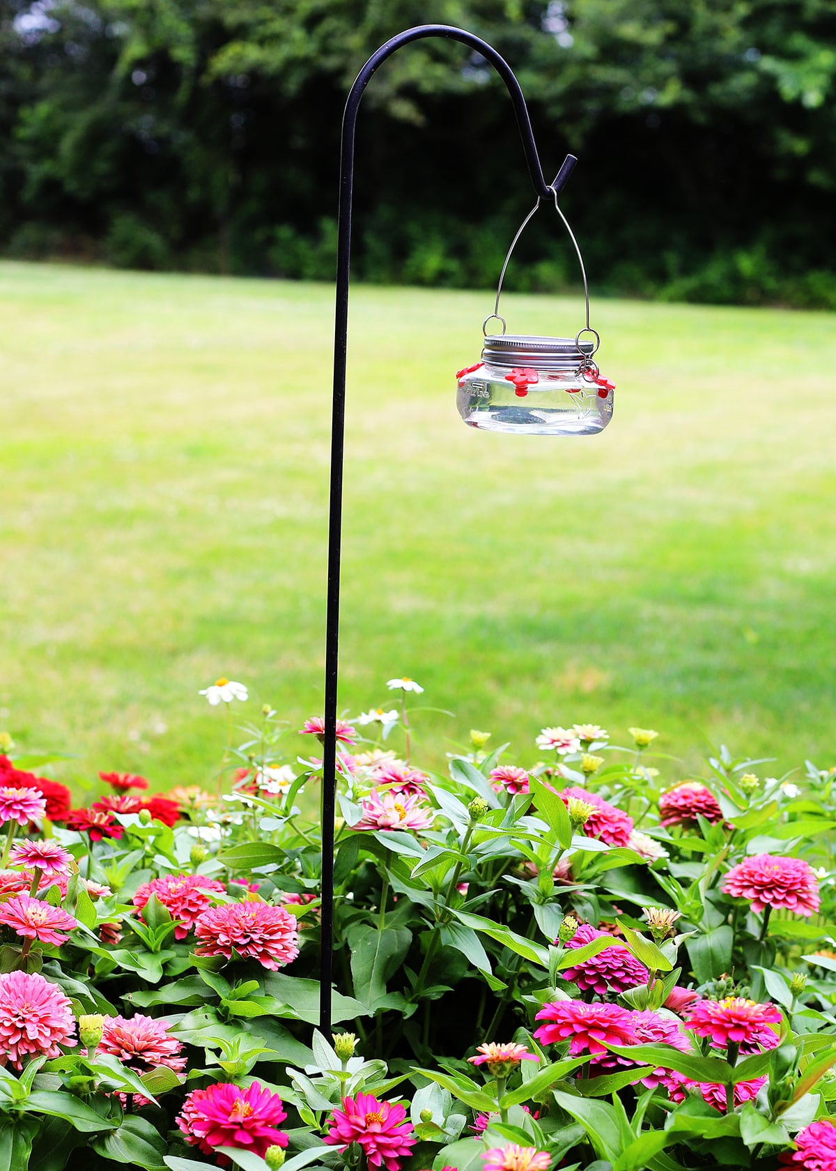 Hummingbird feeder in backyard surrounded by zinnia flowers.