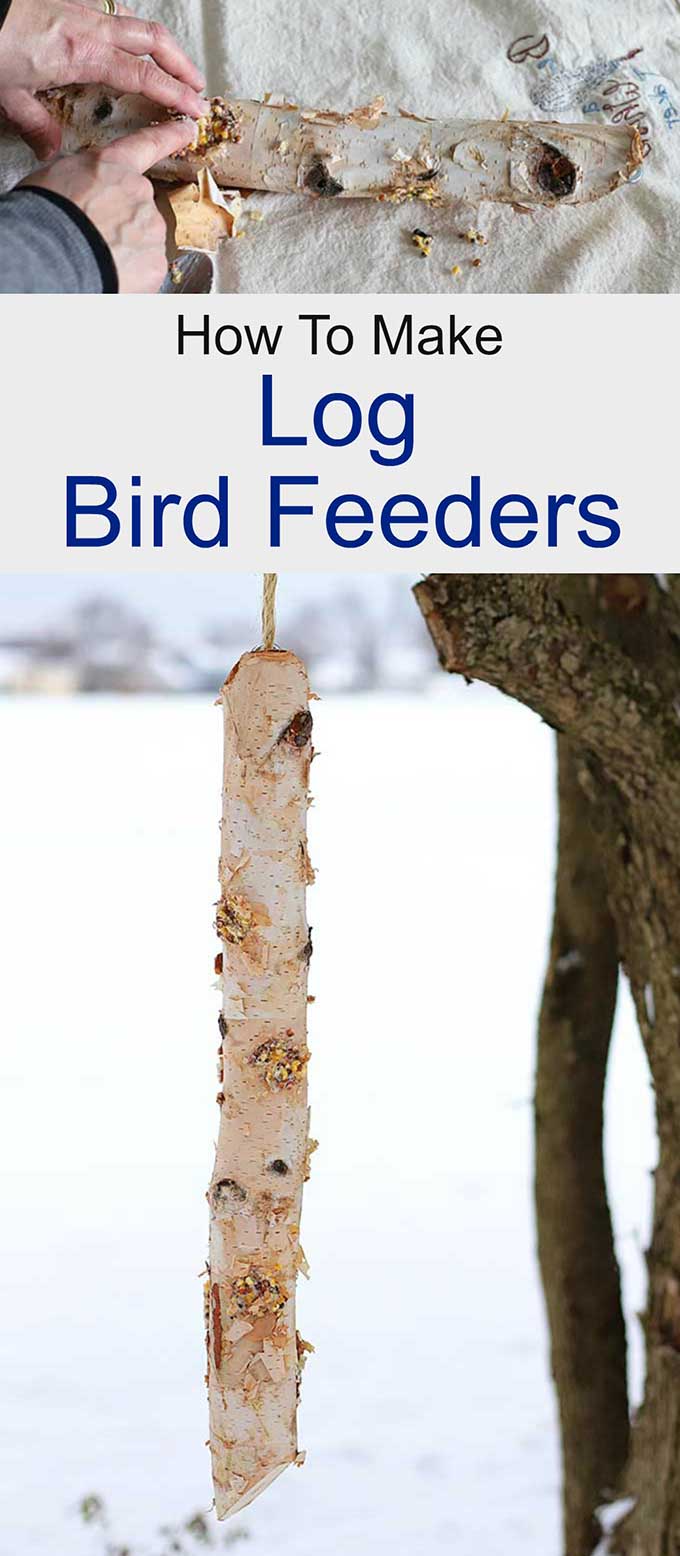 Simple suet log bird feeder DIY project to feed the birds for the winter months. Quick and easy to make and the birds will love it!