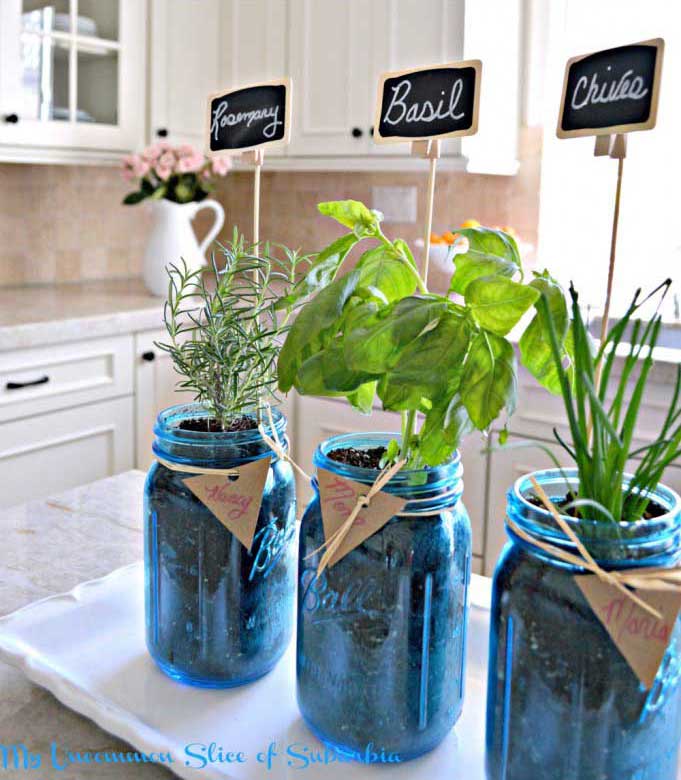 using mason jars to plant an herb garden indoors
