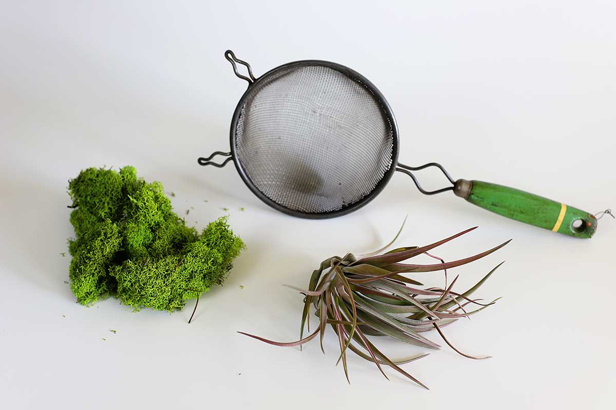 supplies to make air plant holder out of kitchen strainer