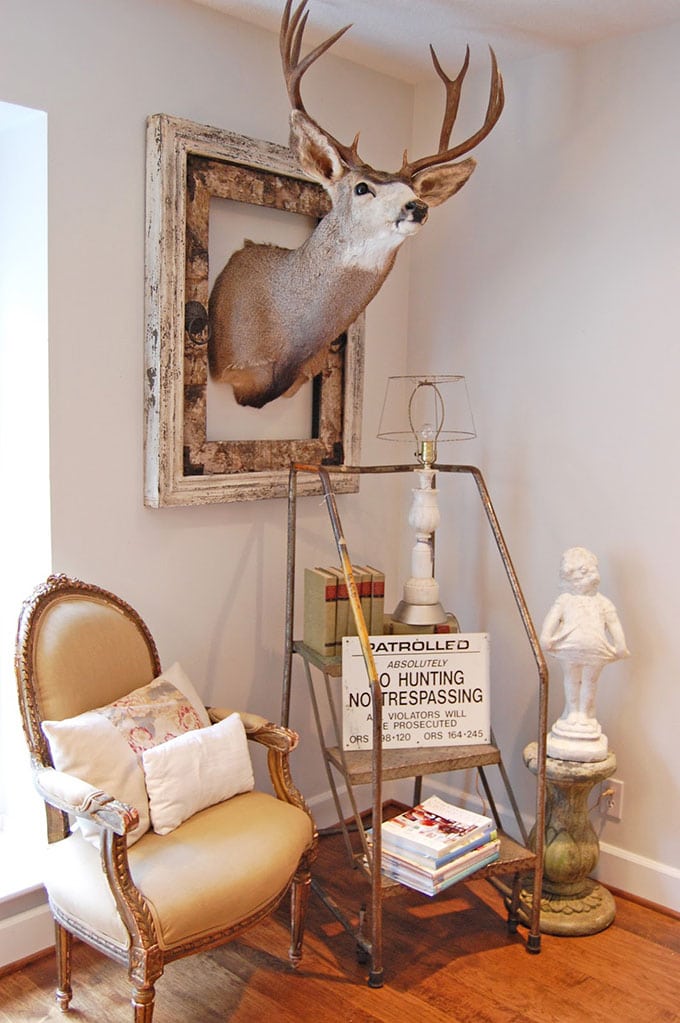 mounted deer head in a frame