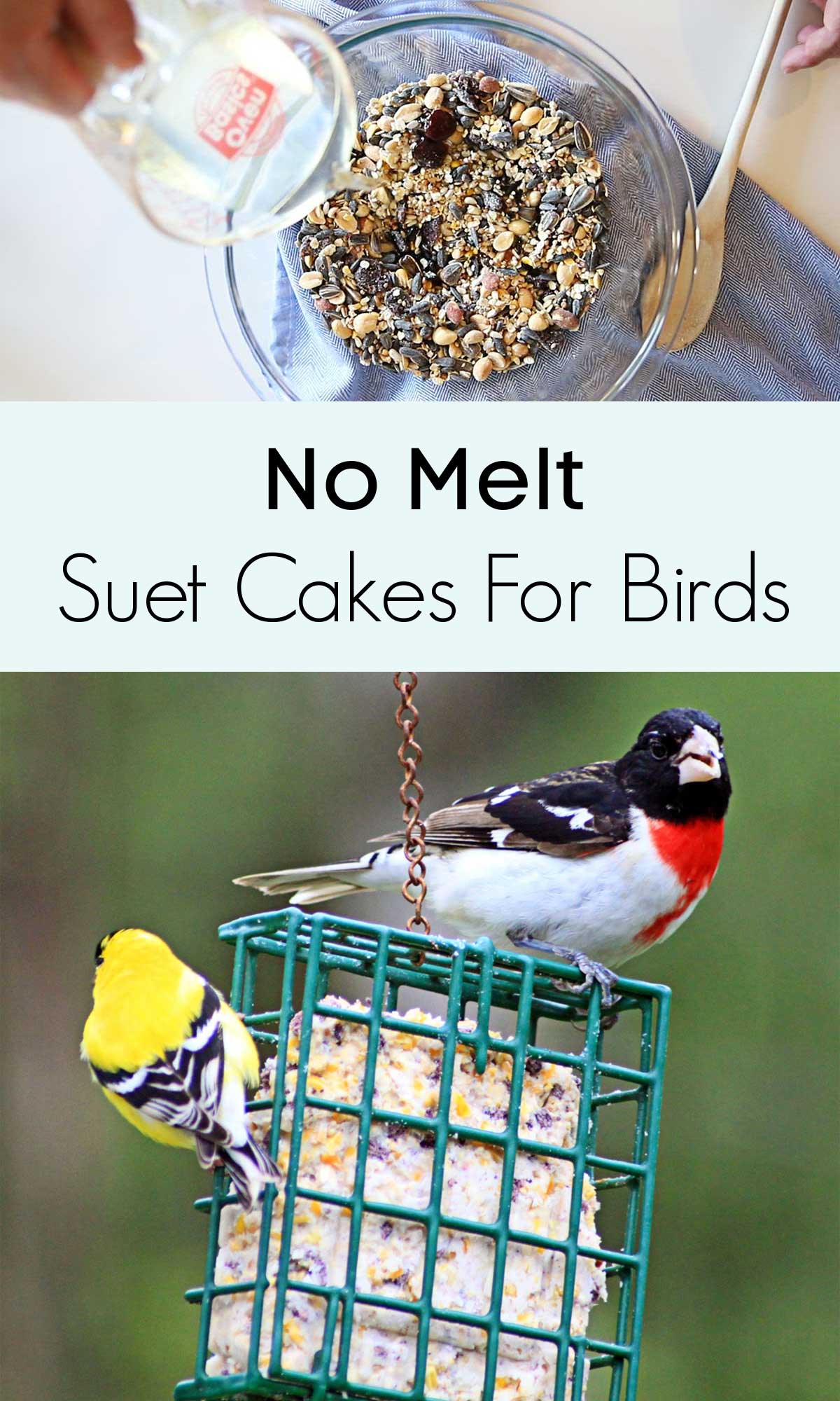 no melt suet cakes for the birds in winter
