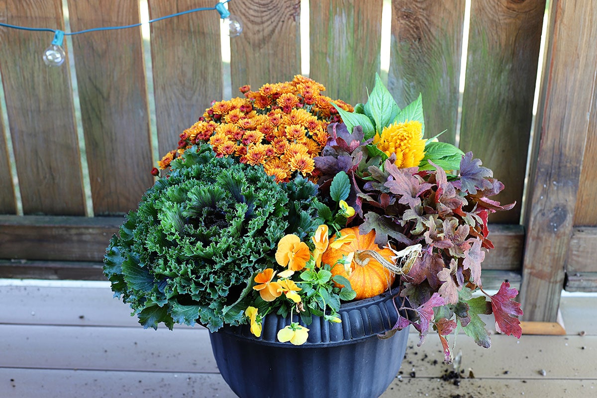 Using a small pumpkin in a fall container.
