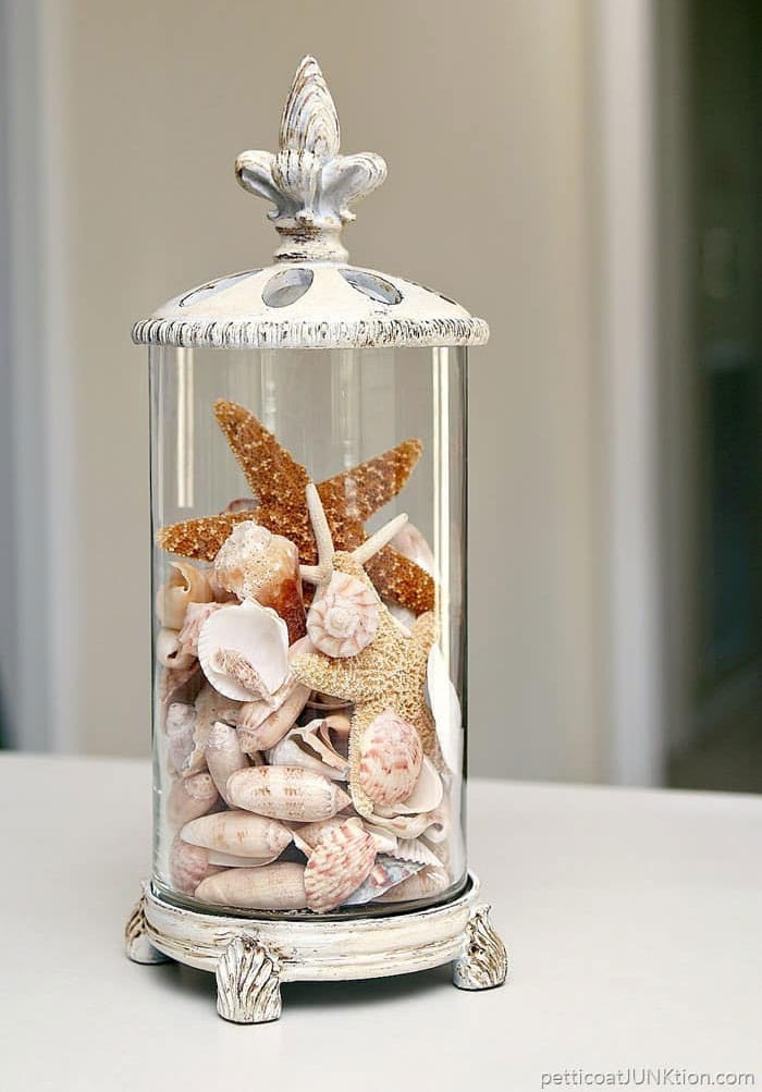 Seashells in a glass container.