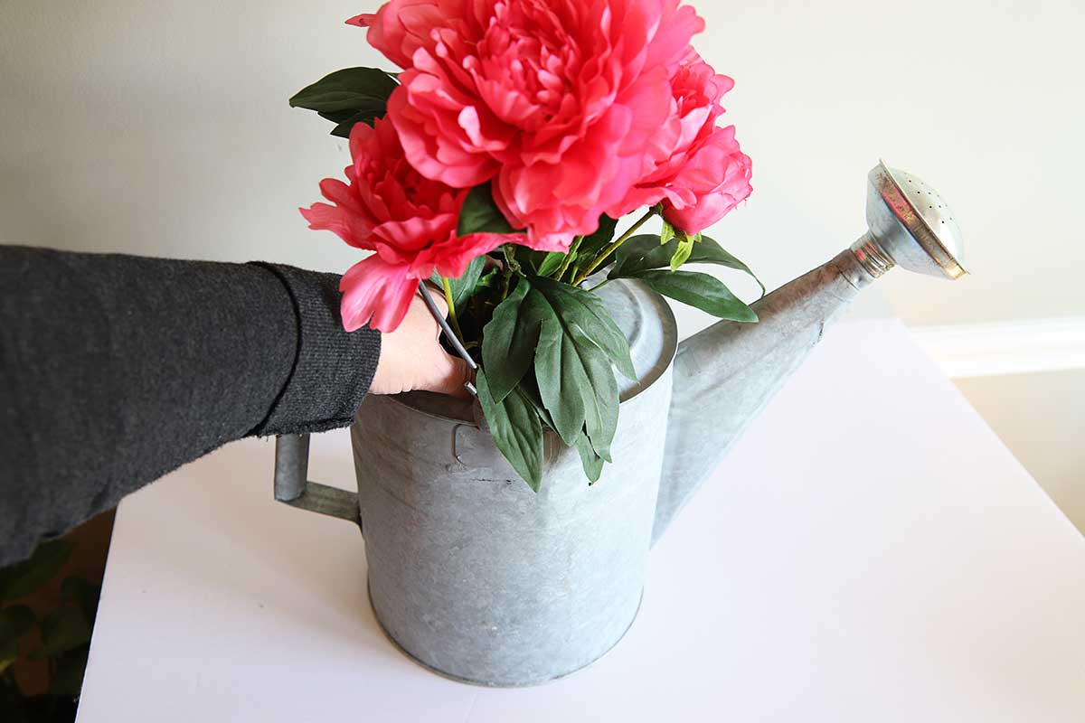 adding peonies to watering can