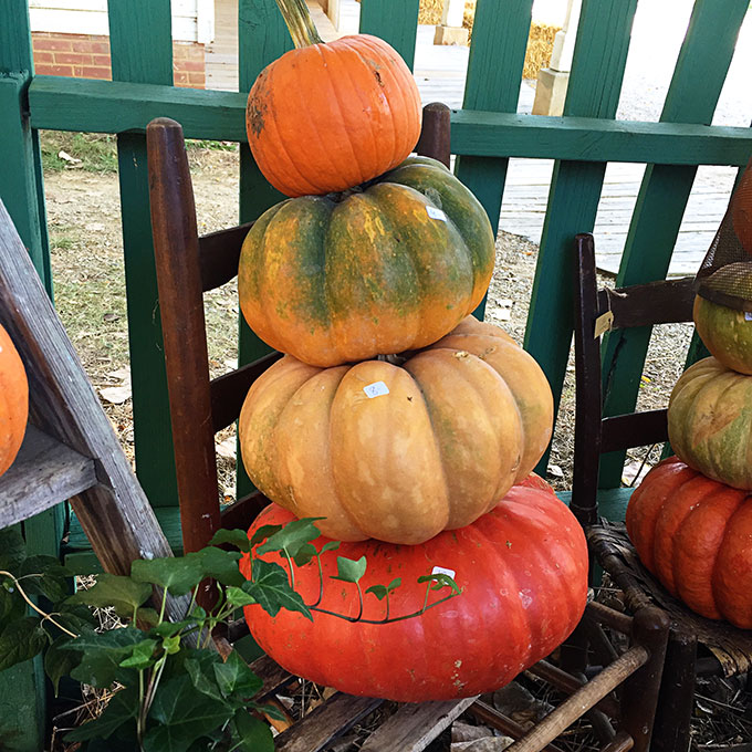 stacked-pumpkins-fall-4340