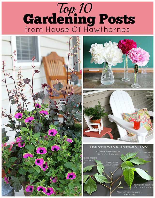 Top 10 gardening ideas for the year including Gardening DIY Projects, plant inspiration and porch decor.