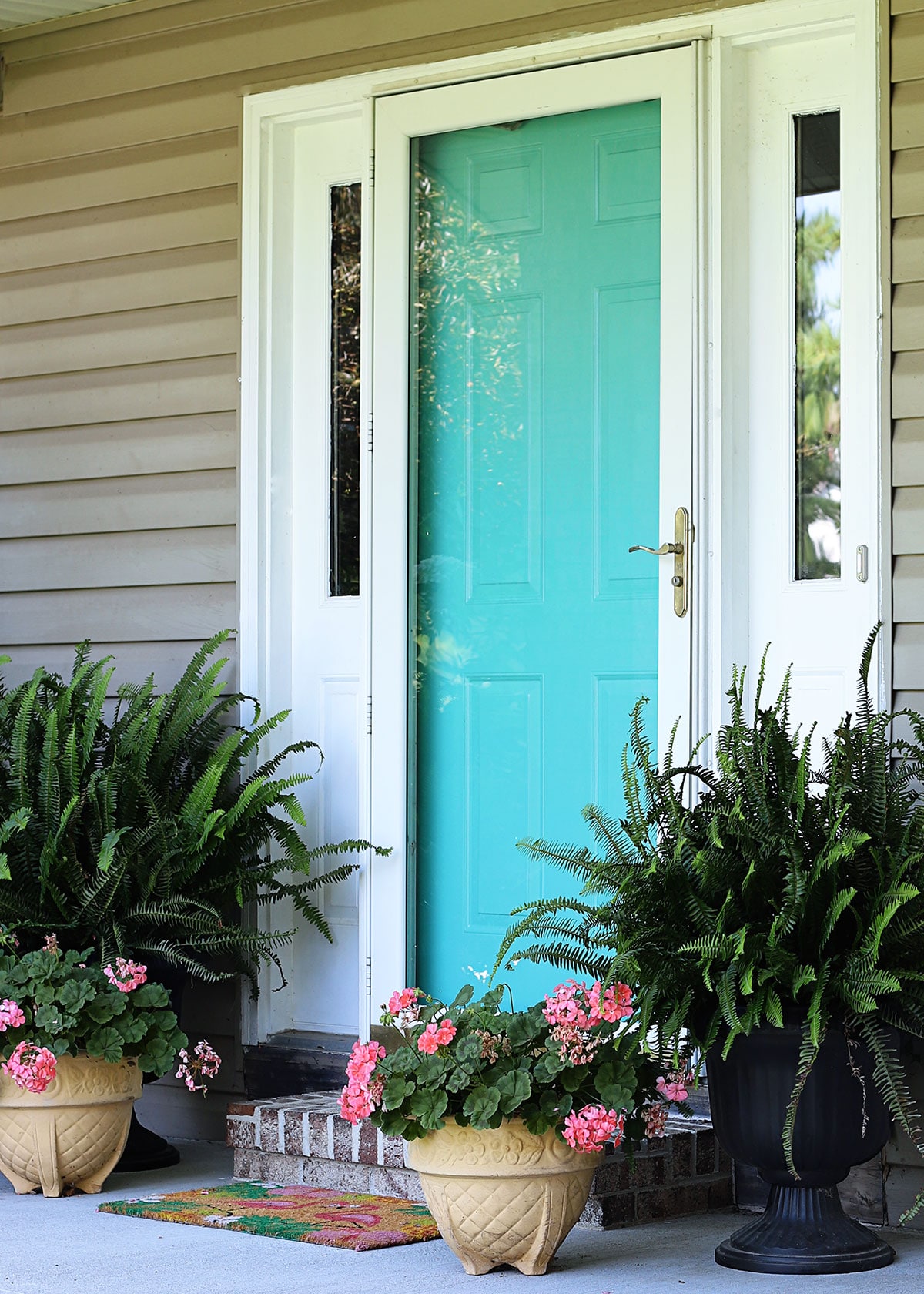 Front door painted turquoise with geraniums and ferns on the porch.