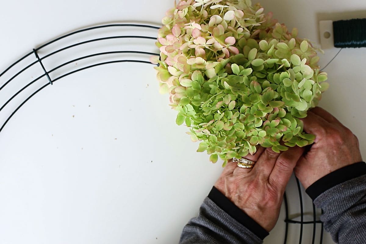 attaching hydrangea blooms onto wire wreath form