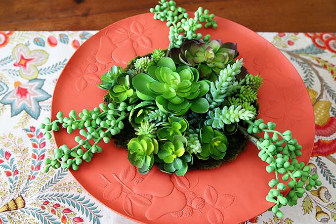 Upcycled thrift store tray into boho succulent garden