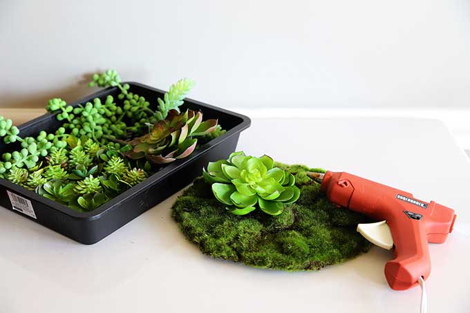 Using artificial succulents