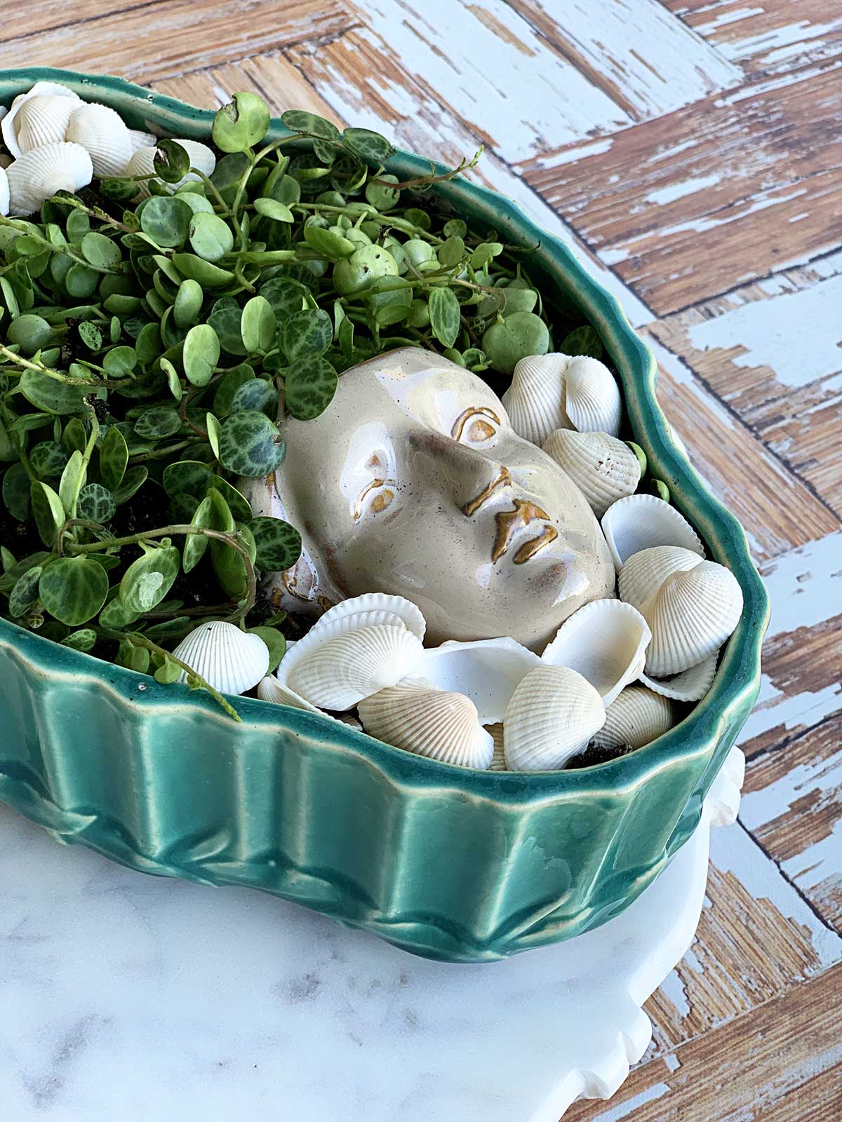 Planter shaped like a head setting in a shallow succulent bowl.