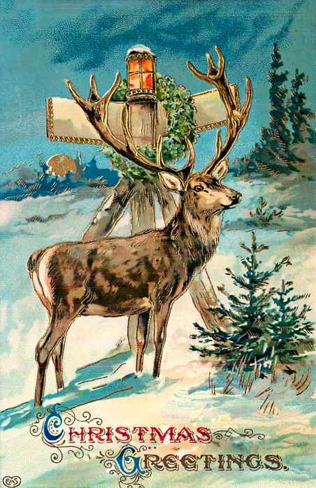 vintage Christmas postcard with deer